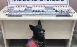 Kayseri’de Tırda 320 Paket Kaçak Sigara Ele Geçirildi