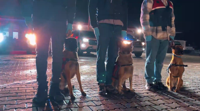 İstanbul Merkezli 20 İlde Dev Dolandırıcılık Operasyonu: 73 Gözaltı, 50 Milyon TL’lik Vurgun