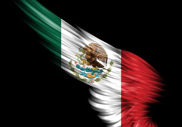 Meksika’da Kartel Liderinin Ölümü Kanlı Çatışmaları Tetikledi