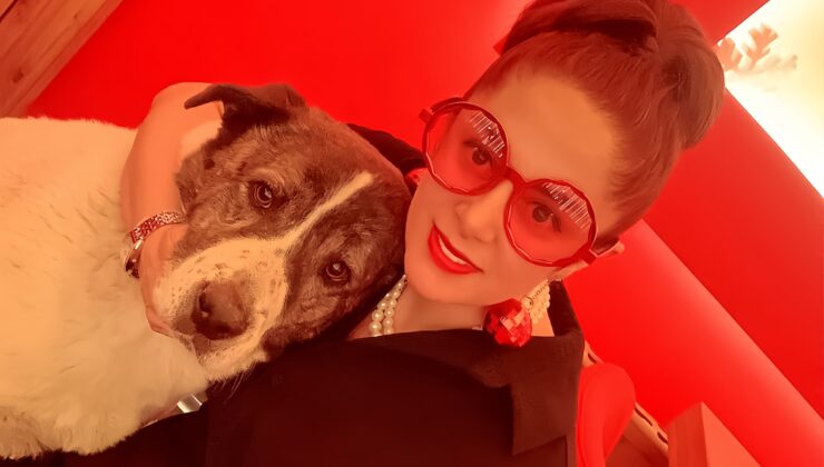 Esenyurt’ta 10 Yıllık Sahipli Köpek Barınakta Öldü: Aileden Otopsi ve Soruşturma Talebi