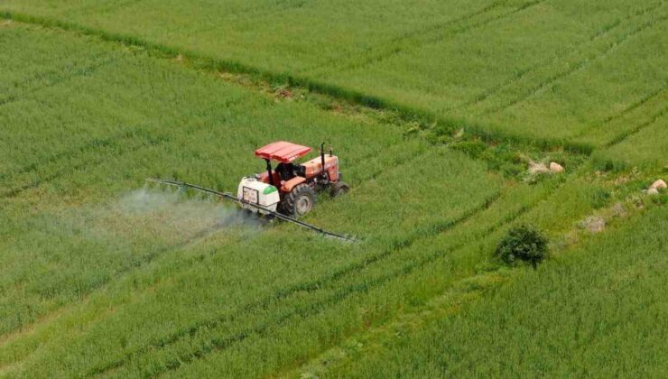 Çiftçilere İlk 6 Ayda 106 Milyar Liralık Tarımsal Destek Sağlandı