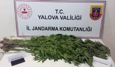 Yalova’da Jandarmadan Uyuşturucu Operasyonu: 3 Şüpheli Yakalandı